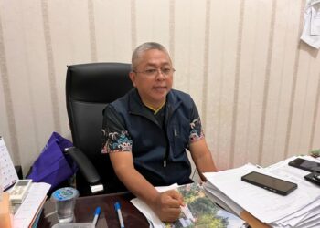 DLH Akui RTH Publik Samarinda Belum Berimbang Meski Luasan Hijau Memadai