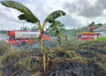 BPBD Samarinda Waspadai Kemarau Panjang, Risiko Karhutla Meningkat