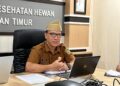 13 Sapi Kurban Bantuan Presiden untuk Kaltim dan IKN Disiapkan, Bobot Terbesar Tembus 1,07 Ton
