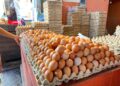 Bawang dan Minyak Alami Kenaikan, Harga Telur di Samarinda Justru Melandai