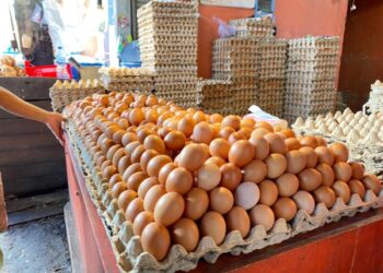 Bawang dan Minyak Alami Kenaikan, Harga Telur di Samarinda Justru Melandai