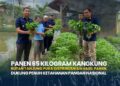 Panen 65 Kilogram Kangkung, Rutan Tanjung Pura Distribusikan Hasil Panen Dukung Penuh Ketahanan Pangan Nasional