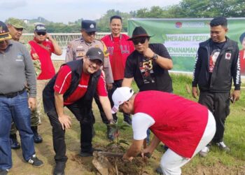 DPC PDI Perjuangan Samarinda Hijaukan Kawasan Folder Lewat Penanaman Pohon