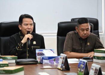 Kejar Tenggat ESDM, Achmad Djufrie Minta Daerah Segera Usulkan Wilayah Tambang Rakyat