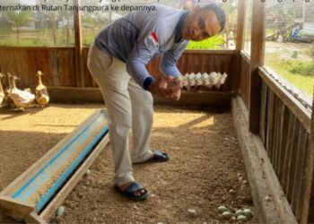 Panen Perdana Telur Bebek, Rutan Tanjung Pura Kembangkan Potensi Peternakan Warga Binaan