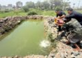 Komoditas Dilahan Ketapang Kian Beragam Rutan Tanjung Pura Tebar 100 Benih Ikan Nila di Kolam Baru