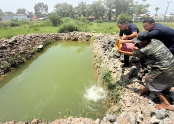 Komoditas Dilahan Ketapang Kian Beragam Rutan Tanjung Pura Tebar 100 Benih Ikan Nila di Kolam Baru