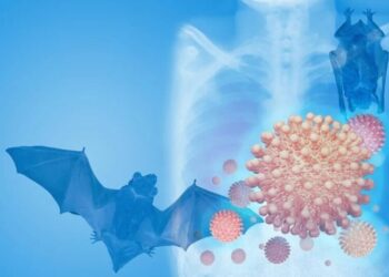 Dinkes Kaltim Tekankan Deteksi Dini Zoonosis untuk Cegah Penyebaran Penyakit