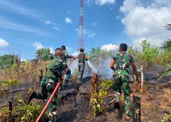 Gerak Cepat! Prajurit Brigif TP 85 Bersama Warga Berhasil Padamkan Karhutla di Kutai Barat