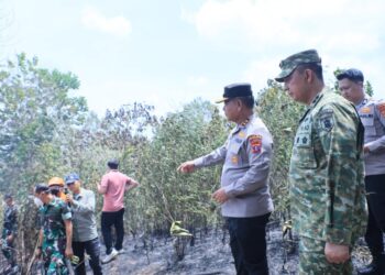 Penanganan Karhutla Kaltim-Kaltara Semakin Terkendali, Pangdam: Sinergi dan Respons Cepat Jadi Kunci