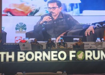 Harga TBS Petani Swadaya Sempat Anjlok, Kebijakan Ekspor Sawit Jadi Sorotan