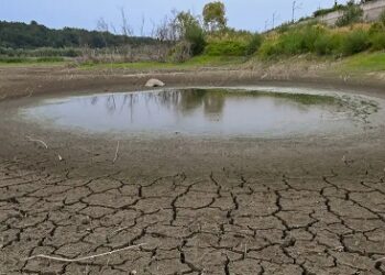BMKG: Kemarau 2026 Diperkirakan Berlangsung hingga Oktober, El Niño Berpotensi Bertahan hingga 2027