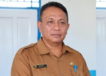 Peternakan Sapi Jadi Potensi yang Ingin Dikembangkan Batu Timbau Ulu