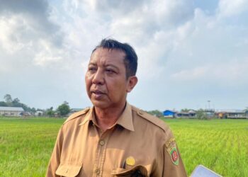 Kemarau Ancam Sawah Serayu hingga Betapus, Distapangtani Samarinda Siapkan Pasokan Air