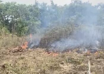 Karhutla Samarinda Belum Sepenuhnya Padam, Asap Muncul Lagi Usai Hujan