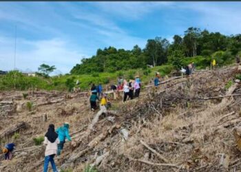 Lahan Kas Desa Jadi Potensi Pengembangan Perkebunan Batu Timbau Ulu