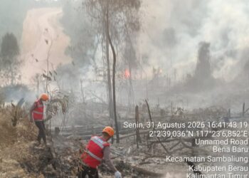 Cegah Meluasnya Karhutla 5 Hektare di Berau, Tim Respons Bencana Kompi 3 Batalyon C Pelopor Berkoordinasi dan Cek Lokasi