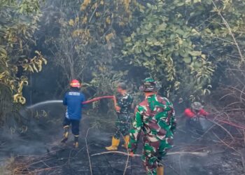 Babinsa dan Tim Gabungan Bergerak Cepat Padamkan Karhutla di Gunung Seteleng