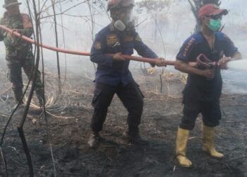 Gerak Cepat Tim Gabungan Jinakkan Karhutla di Babulu Darat