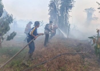 Polsek Palaran Bersama Tim Gabungan Bergerak Cepat Padamkan Karhutla di Lahan Gambut