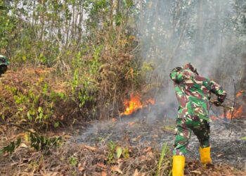 TNI Perkuat Penanganan Karhutla di Delineasi IKN, Helikopter Caracal Lakukan Water Bombing