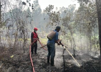 Satgas Gabungan Kutai Barat Padamkan 2 Hektar Kebakaran Lahan di Melak