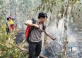 TNI-Polri di Paser Padamkan Karhutla di Dua Lokasi Muara Komam, Luas Lahan Terbakar Capai 5 Hektare
