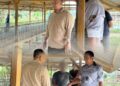 Tinjau Lahan Ketahanan Pangan Rutan Tanjung Pura Sambut Baik Kunjungan Kepala Bidang Pembimbingan Kemasyarakatan Kanwil Ditjenpas Sumut
