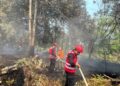 Gerak Cepat Brimob Polda Kaltim Bersama BPBD Atasi Karhutla 20 Hektare di Kutai Barat