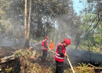Gerak Cepat Brimob Polda Kaltim Bersama BPBD Atasi Karhutla 20 Hektare di Kutai Barat