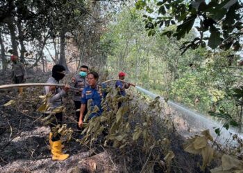 Karhutla di Teluk Bayur, Tim Gabungan Padamkan Api di Lahan 0,3 Hektare