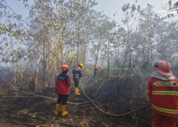Karhutla di Kaltim Meluas hingga 5.000 Hektare, BNPB Kerahkan Pemadaman Darat dan Udara