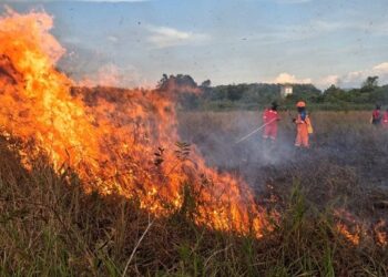 Malaysia Kirim Bantuan Pemadaman Karhutla ke Indonesia