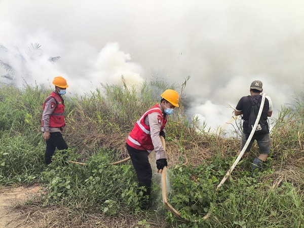 Kebakaran lahan gambut