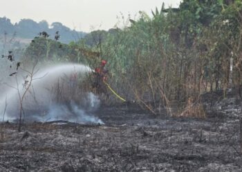 Helmi Minta Warga Samarinda Stop Bakar Sampah Sembarangan