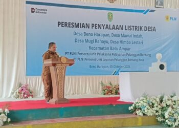 Camat Batu Ampar: Listrik 24 Jam Buka Peluang Tambah Penghasilan Warga