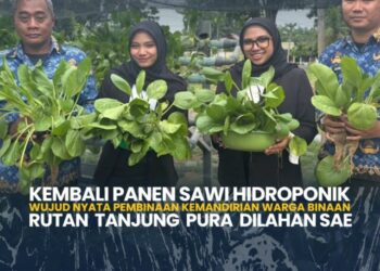 Kembali Panen Sawi Hidroponik Wujud Nyata Pembinaan Kemandirian Warga Binaan Rutan Tanjung Pura Dilahan SAE