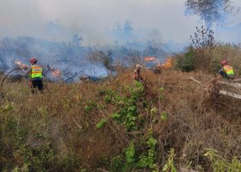 Brimob Polda Kaltim Padamkan Karhutla 3 Hektare di Tanah Grogot